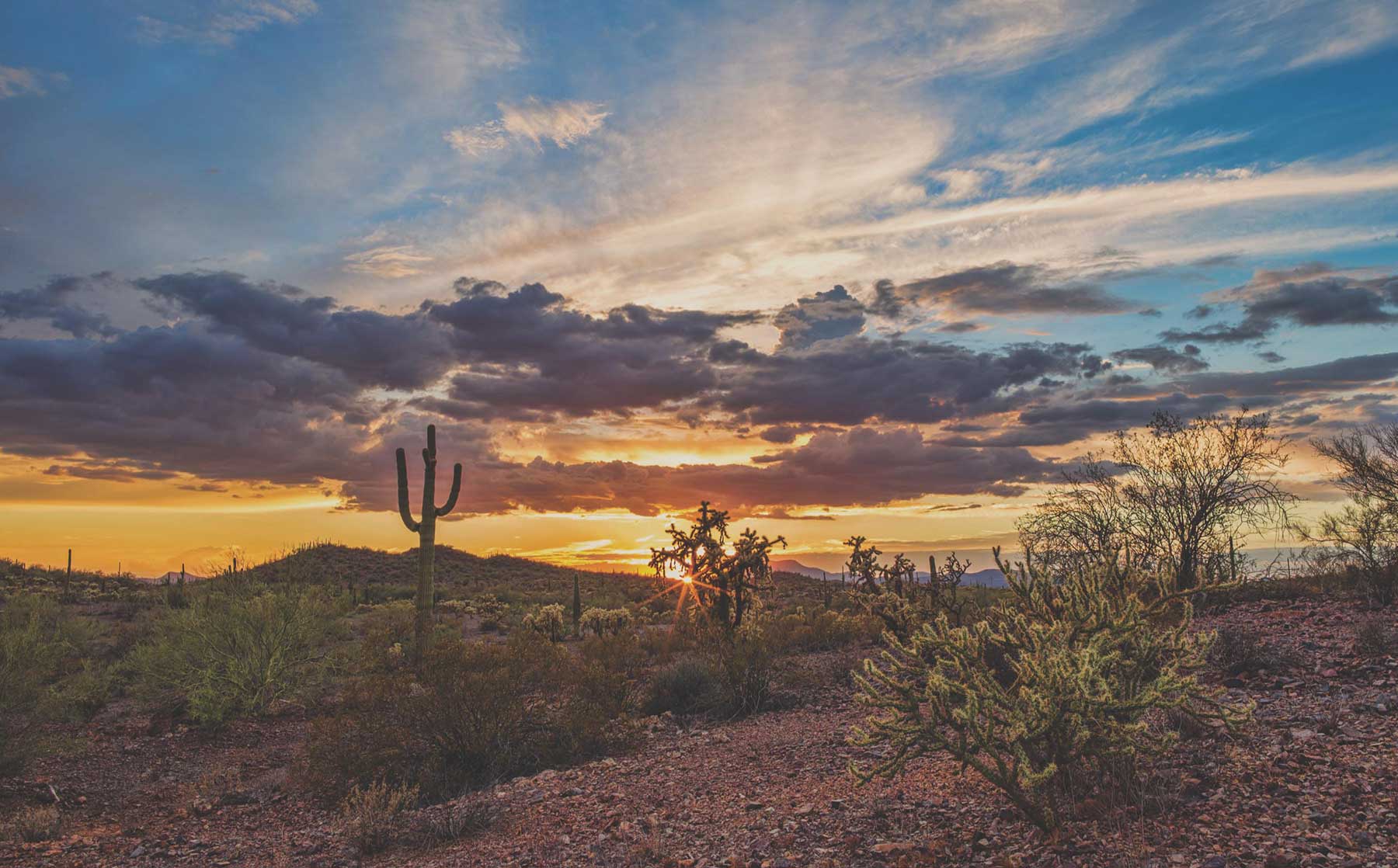 Sunset overlooking a desert field