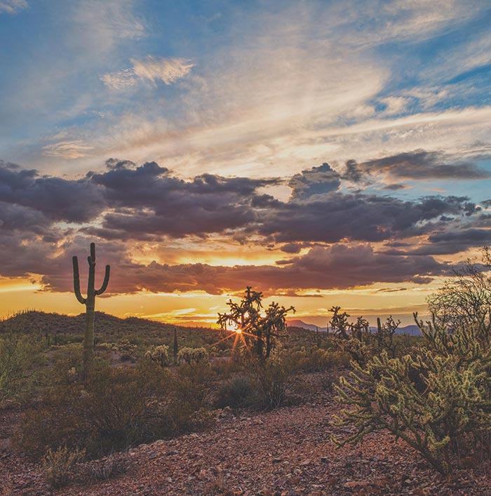 Sunset overlooking a desert field