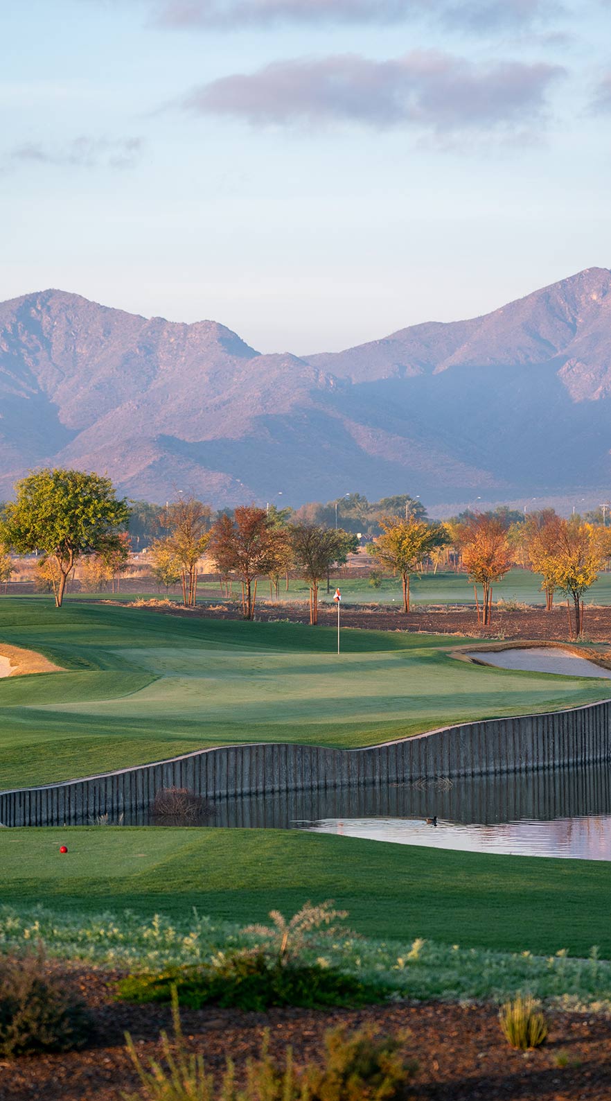 Golf course at Sterling Grove